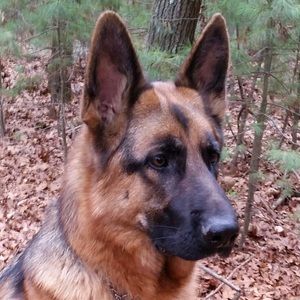 Meet your Posher, Jack